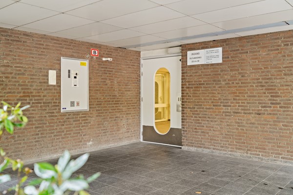 Medium property photo - Delflandseweg 243, 3119 XW Schiedam